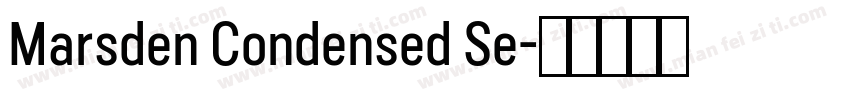 Marsden Condensed Se字体转换